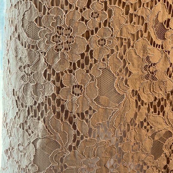 Burberry Heather Pink Embroidered Lace Overlay Dress US size 2 - Picture 7 of 11